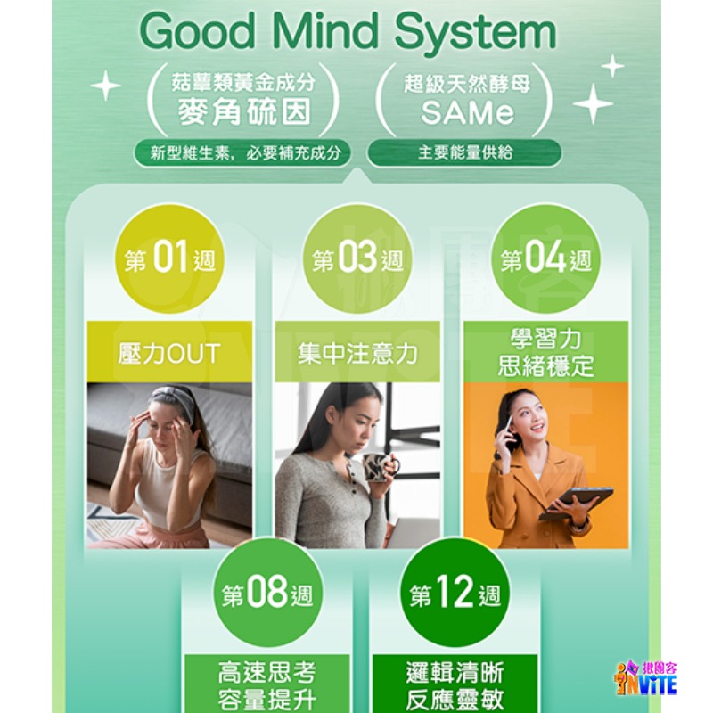 【即期】【發票/隔日到貨】♢揪團客♢ P.TEAM 麥角多智 (4粒x1盒) 學生 吸菸 熬夜 銀髮族 思緒不寧-細節圖4
