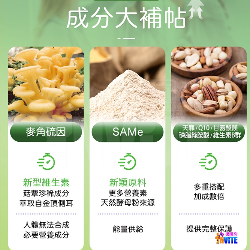 【即期】【發票/隔日到貨】♢揪團客♢ P.TEAM 麥角多智 (4粒x1盒) 學生 吸菸 熬夜 銀髮族 思緒不寧-細節圖6
