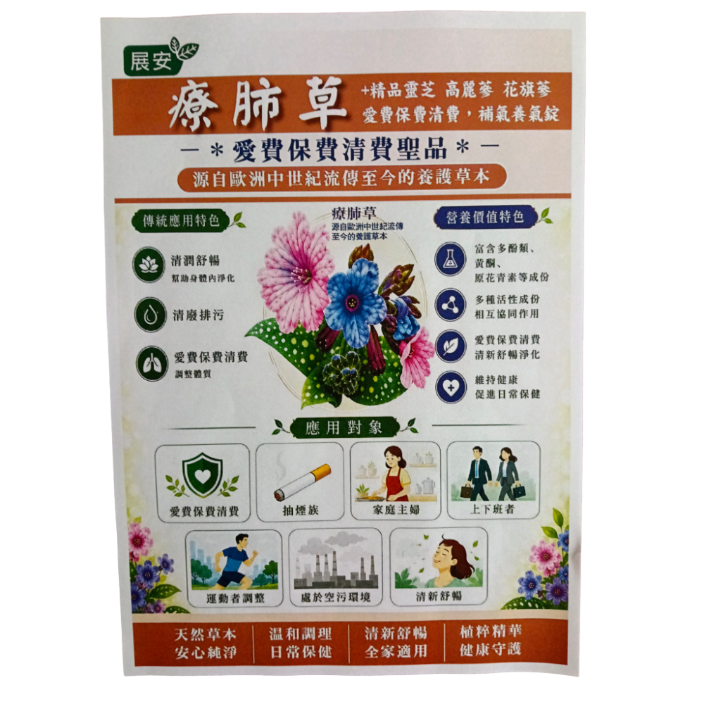 展安 療肺草+精品靈芝 高麗蔘 花旗蔘 愛費保肺清費，補氣養氣錠一盒30粒錠-細節圖3