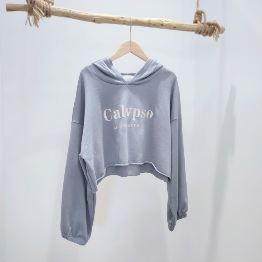 (A93)正韓-英字縮口短版連帽上衣-4色【現貨-米杏】短版 短版上衣 字母 韓國 帽t 薄長袖 長袖上衣-規格圖9