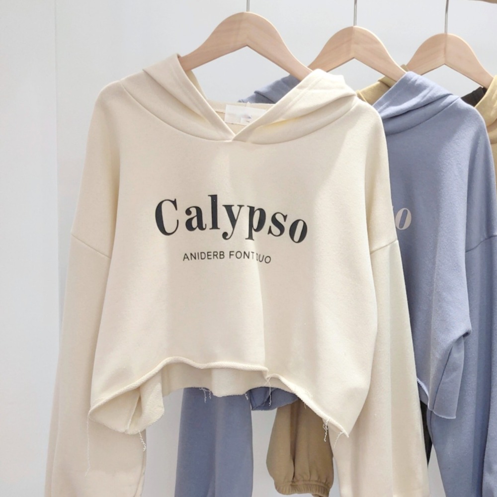 (A93)正韓-英字縮口短版連帽上衣-4色【現貨-米杏】短版 短版上衣 字母 韓國 帽t 薄長袖 長袖上衣-規格圖9