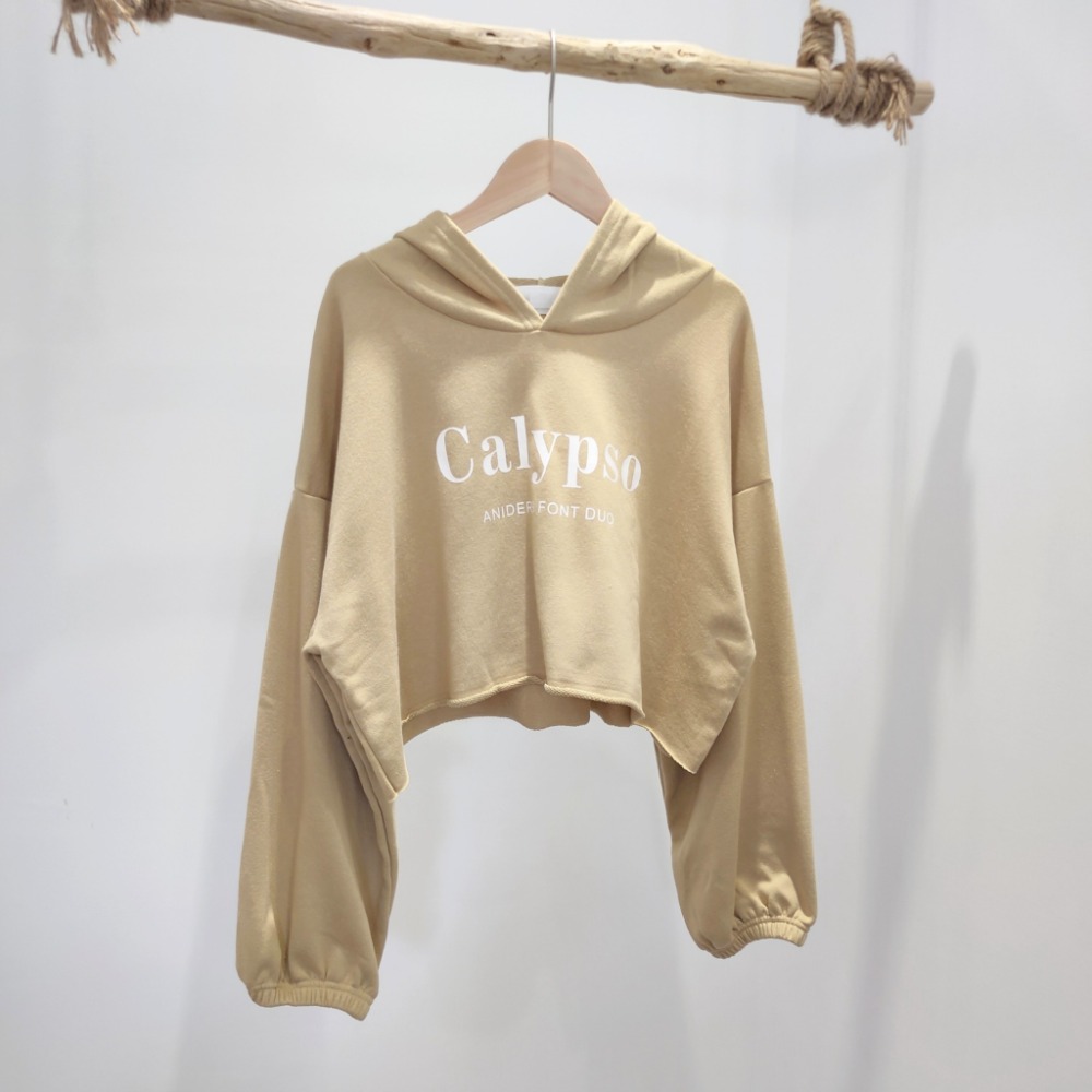 (A93)正韓-英字縮口短版連帽上衣-4色【現貨-米杏】短版 短版上衣 字母 韓國 帽t 薄長袖 長袖上衣-規格圖9