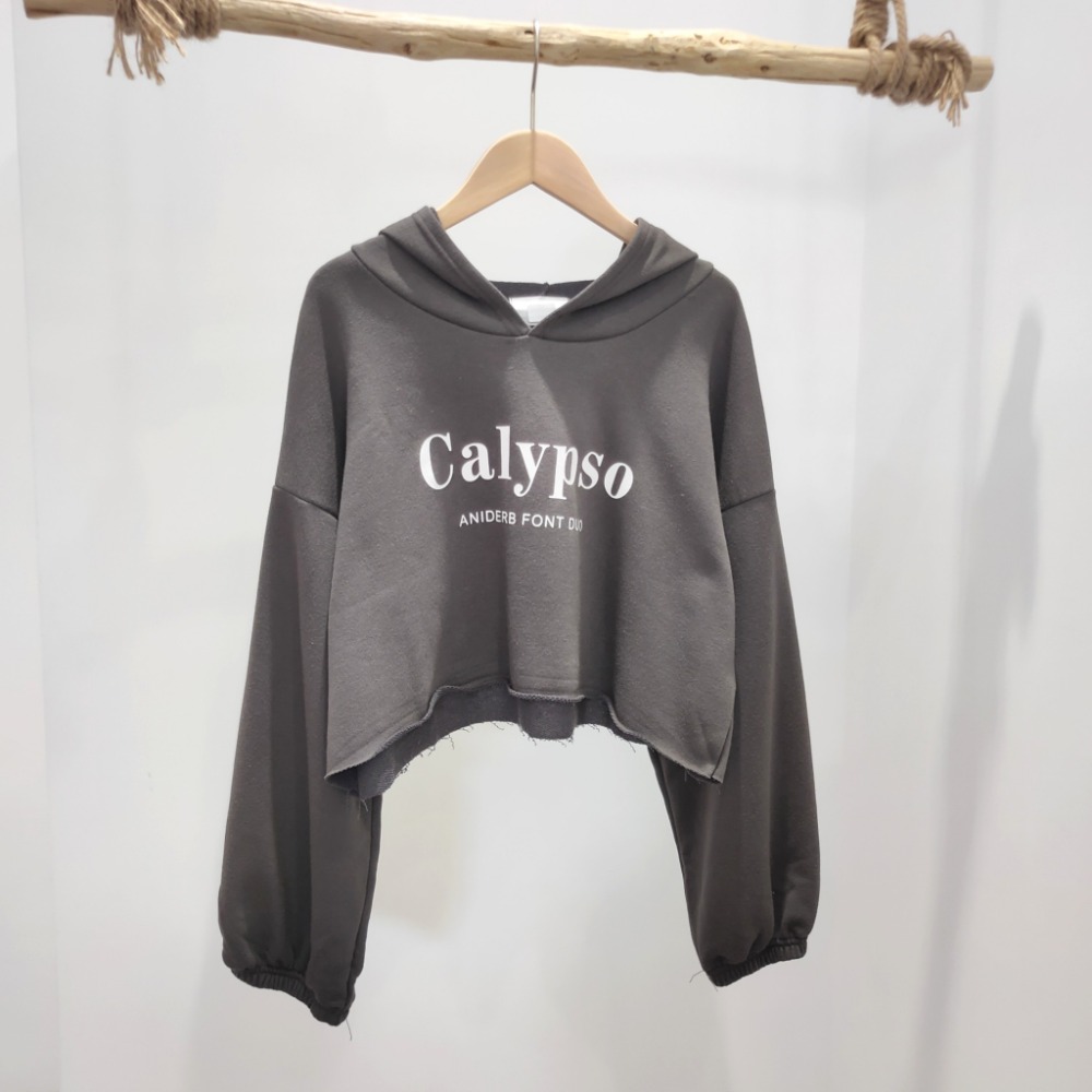 (A93)正韓-英字縮口短版連帽上衣-4色【現貨-米杏】短版 短版上衣 字母 韓國 帽t 薄長袖 長袖上衣-規格圖9