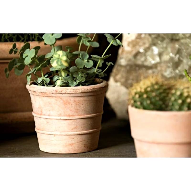 Deroma 迷你 西恩納 多肉 美盆-細節圖3