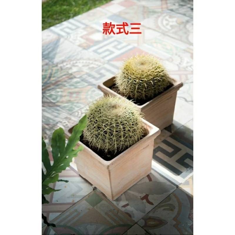 Deroma 迷你 西恩納 多肉 美盆-規格圖6