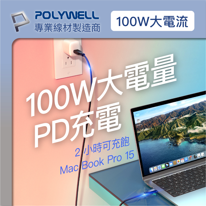 POLYWELL 寶利威爾 USB4 極速傳輸充電線 Type-C Gen3 40G 100W TID 認證 8K 快充-細節圖6