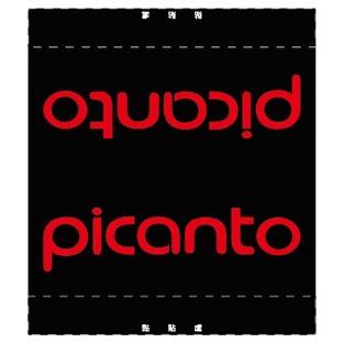 現代 HYUNDAI picanto 車標  車 汽車 夾標 水洗標 尾門標  車貼裝飾 雙面設計-細節圖3