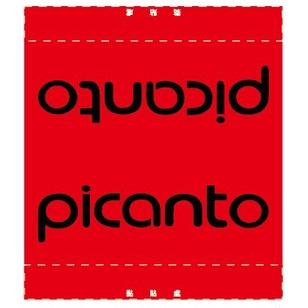 現代 HYUNDAI picanto 車標  車 汽車 夾標 水洗標 尾門標  車貼裝飾 雙面設計-細節圖4