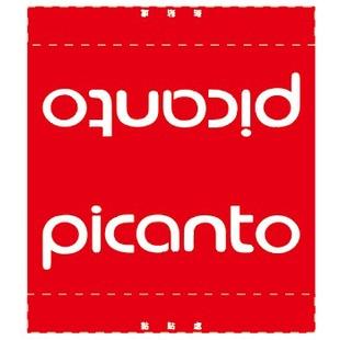 現代 HYUNDAI picanto 車標  車 汽車 夾標 水洗標 尾門標  車貼裝飾 雙面設計-細節圖5