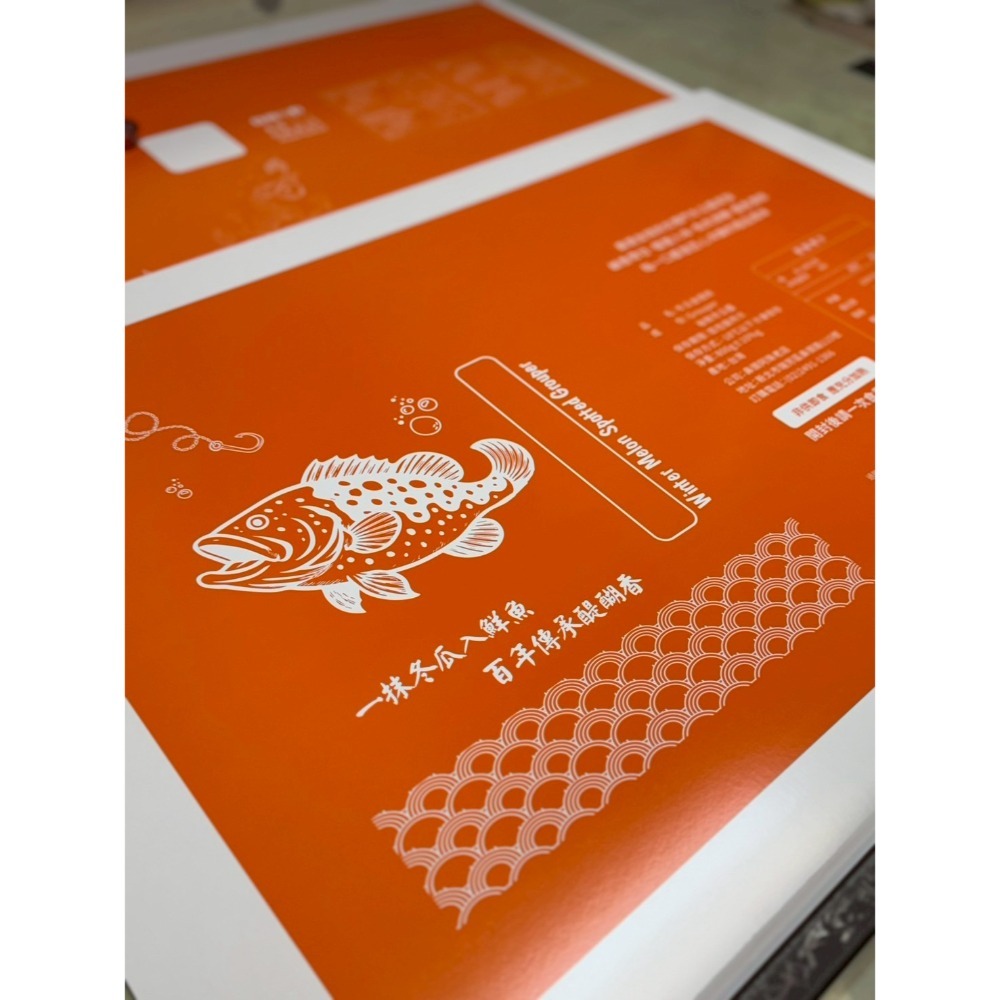 冬瓜金錢斑-細節圖2