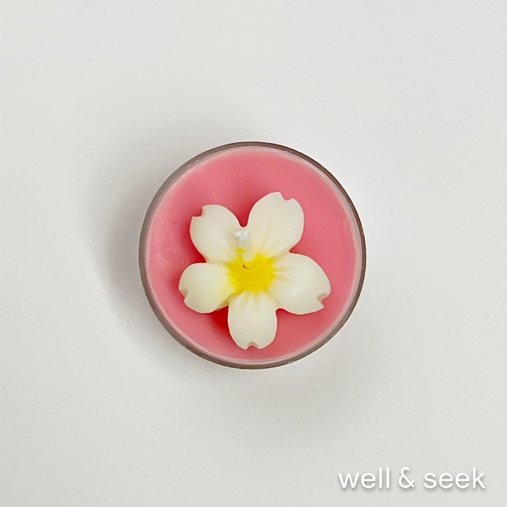 BLANCHI 白祁 聖誕節香氛蠟片禮盒 /1入_3款可挑選-細節圖8