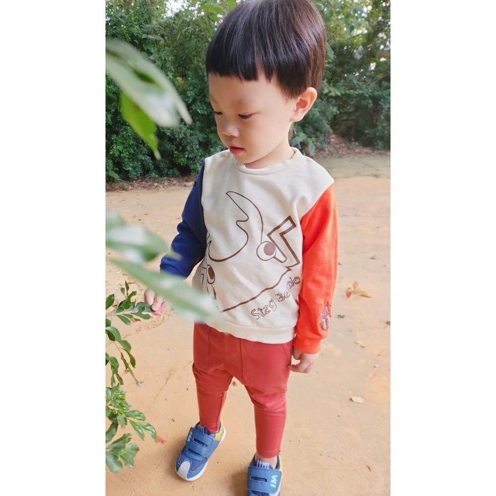 童裝Rakkimore 鍬形蟲毛圈上衣 秋冬甲蟲上衣 尺寸90~130-規格圖4