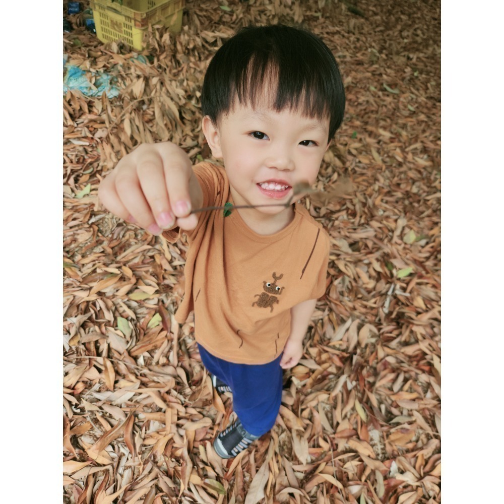 rakkimore 獨角仙童裝 鍬形蟲童裝 日系童裝 甲蟲夏日短袖上衣 尺寸90~130-細節圖2