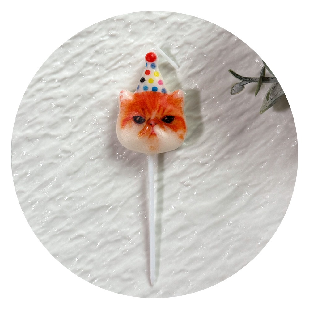 橘色扁臉貓 一支