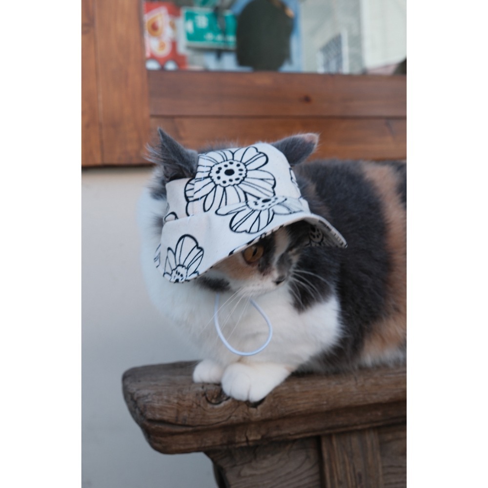 寵物花花帽子(可調)-規格圖2