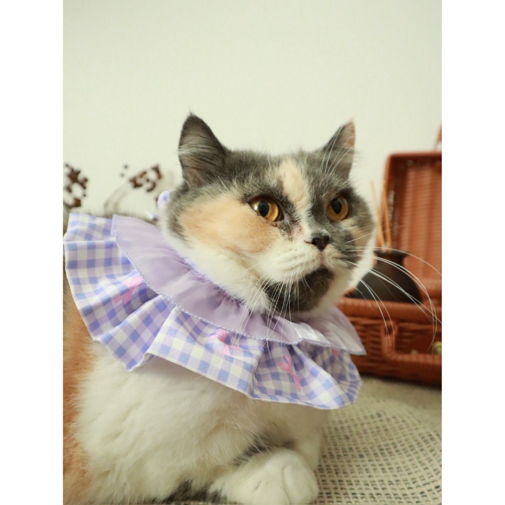 布作圍兜-規格圖1