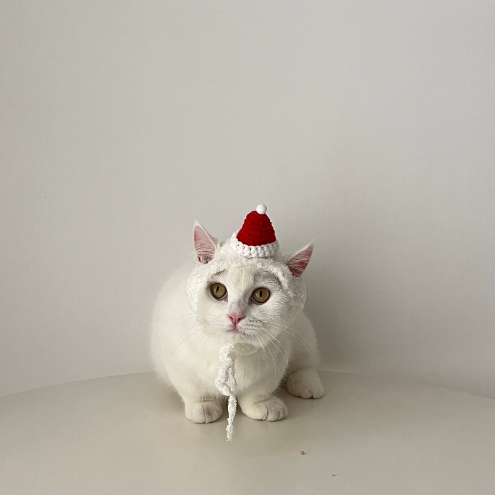 麋鹿聖誕款帽子-細節圖2