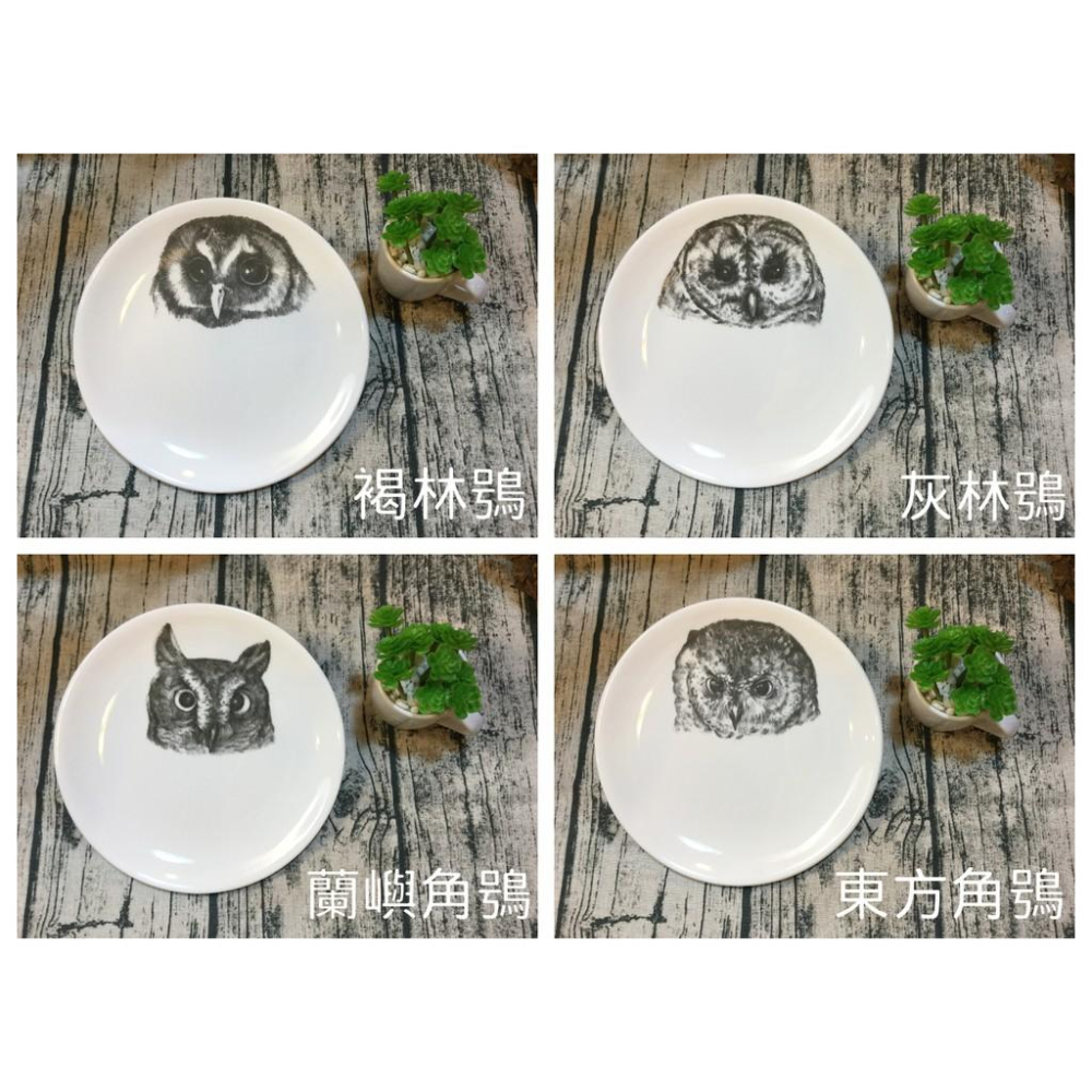 【奧爾思原創】台灣製貓頭鷹餐盤，12種貓頭鷹圖案任選～最特別的禮物都在奧爾思～-細節圖2