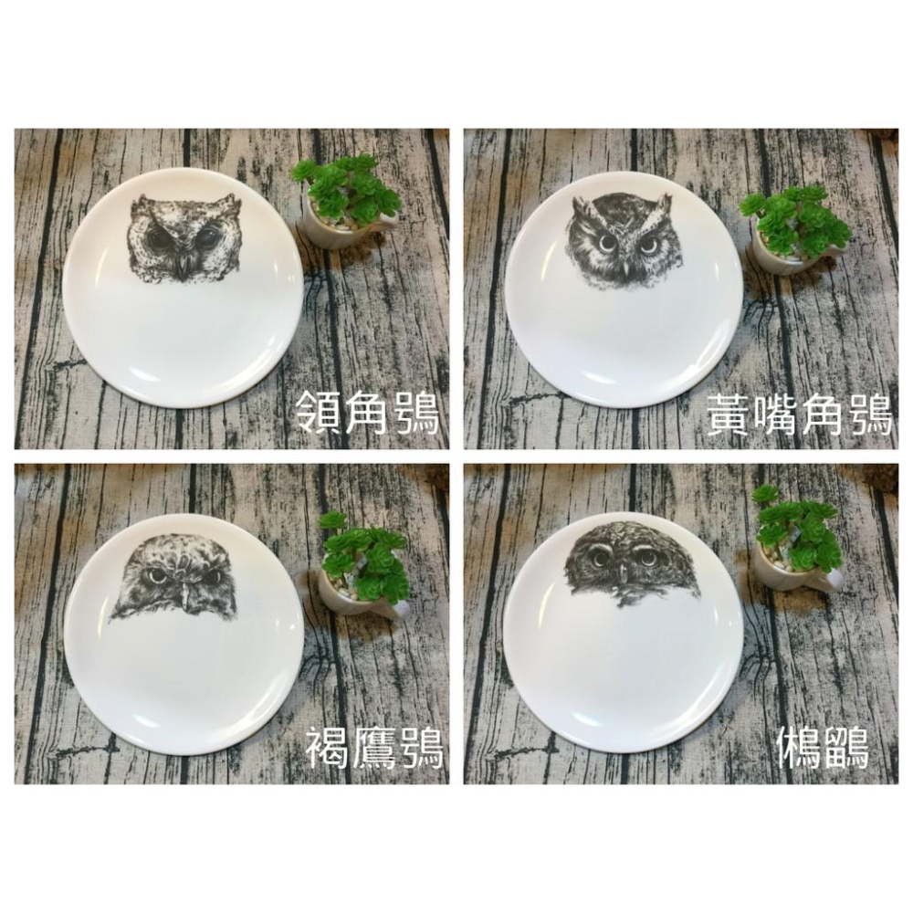 【奧爾思原創】台灣製貓頭鷹餐盤，12種貓頭鷹圖案任選～最特別的禮物都在奧爾思～-細節圖3