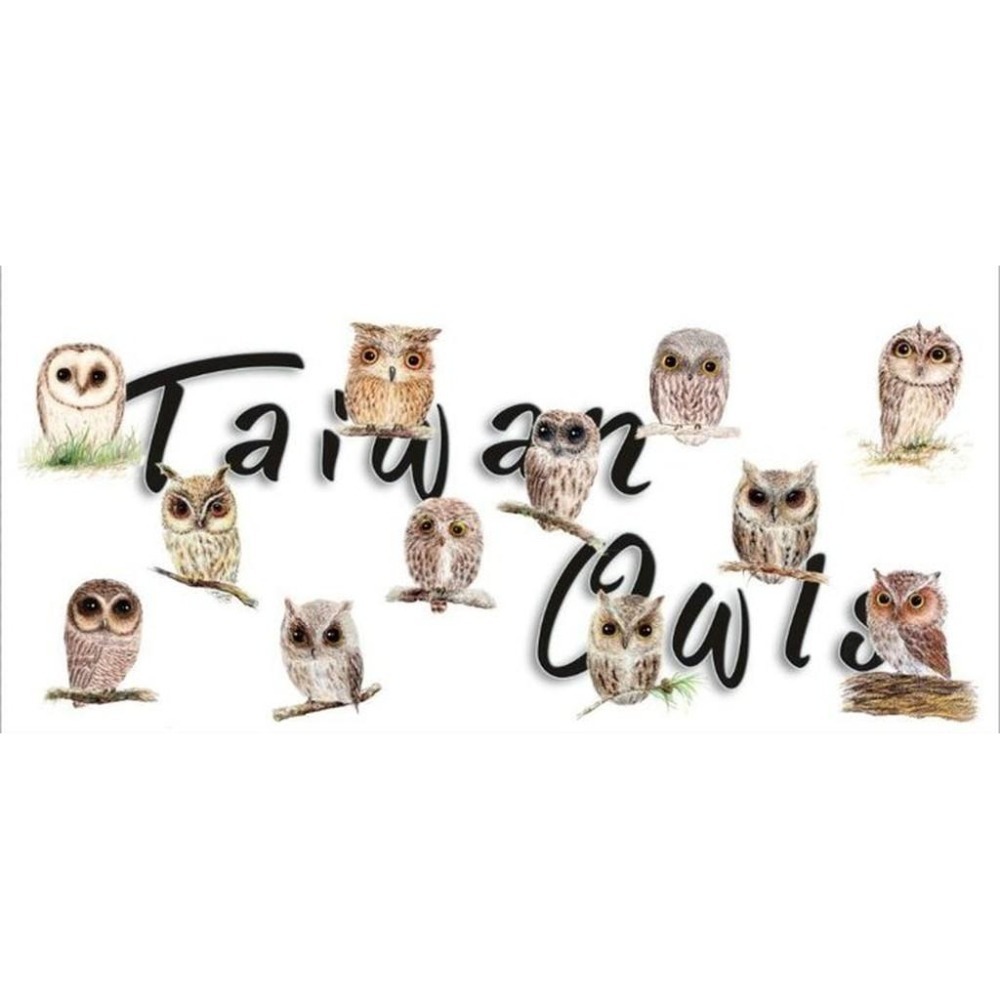 【奧爾思獨賣】台灣12隻貓頭鷹色鉛筆畫馬克杯-細節圖3