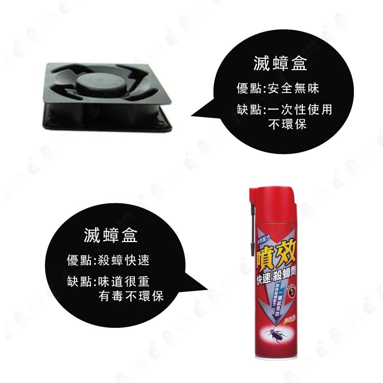 台灣現貨 蟑螂屋 蟑螂盒 蟑螂捕抓器 抓蟑螂神器 滅蟑 滅蟲 補蟑器 無毒無味可重複使用 【AAA6278】-細節圖3