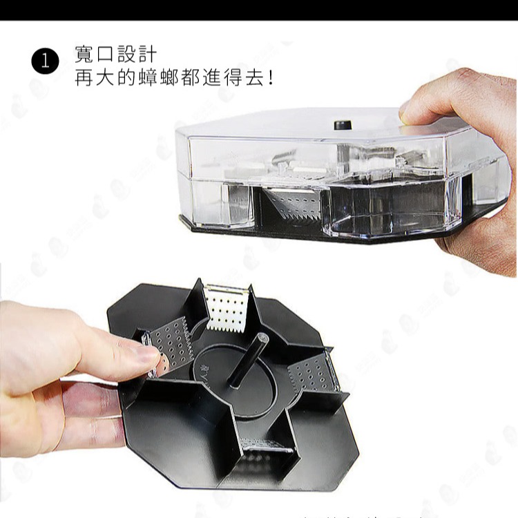 台灣現貨 蟑螂屋 蟑螂盒 蟑螂捕抓器 抓蟑螂神器 滅蟑 滅蟲 補蟑器 無毒無味可重複使用 【AAA6278】-細節圖5