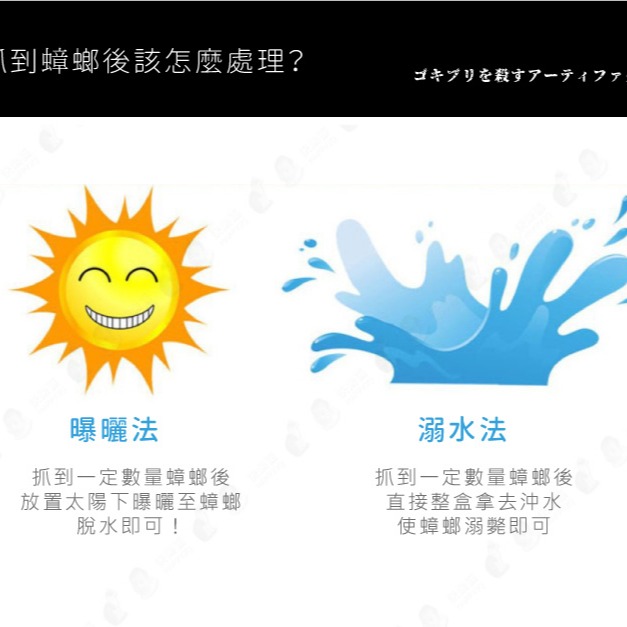 台灣現貨 蟑螂屋 蟑螂盒 蟑螂捕抓器 抓蟑螂神器 滅蟑 滅蟲 補蟑器 無毒無味可重複使用 【AAA6278】-細節圖7