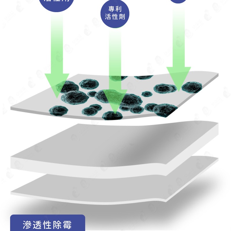 台灣現貨 洗衣機除黴劑 黴菌 除霉菌 預防發霉 清洗洗衣機【AAA6574】-細節圖5