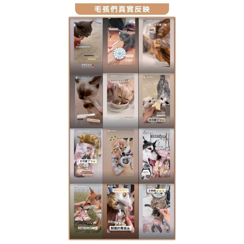 【想比比官方旗艦店】寵物凍乾零食 100%原肉｜犬貓可食｜現貨供應｜無添加・高蛋白-細節圖5