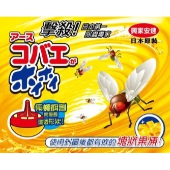 《現貨》 日本 興家安速  果蠅餌劑 果蠅誘捕器 38g-細節圖3