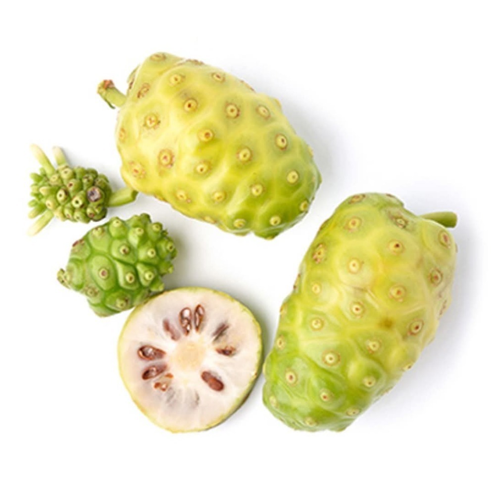 艾多美 諾麗果發酵液-細節圖3