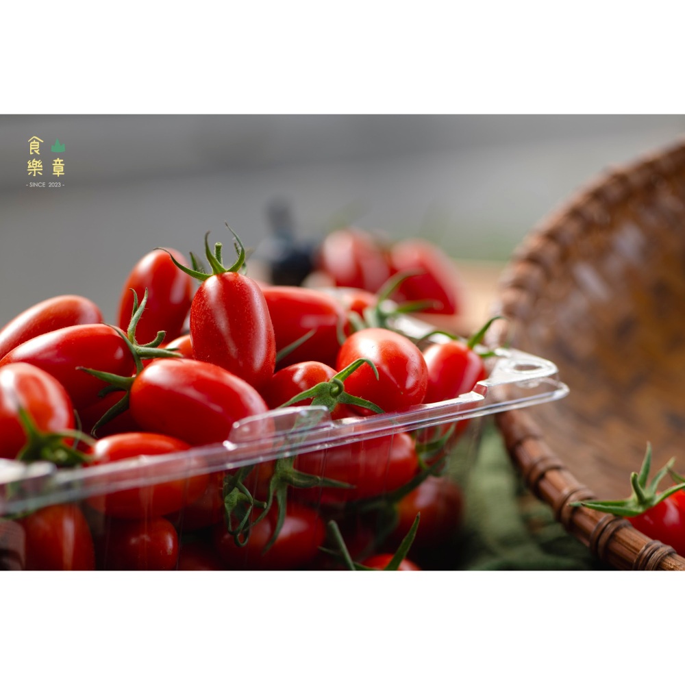 南投溫室玉女番茄-細節圖2