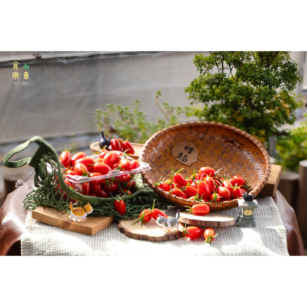 南投溫室玉女番茄-細節圖3