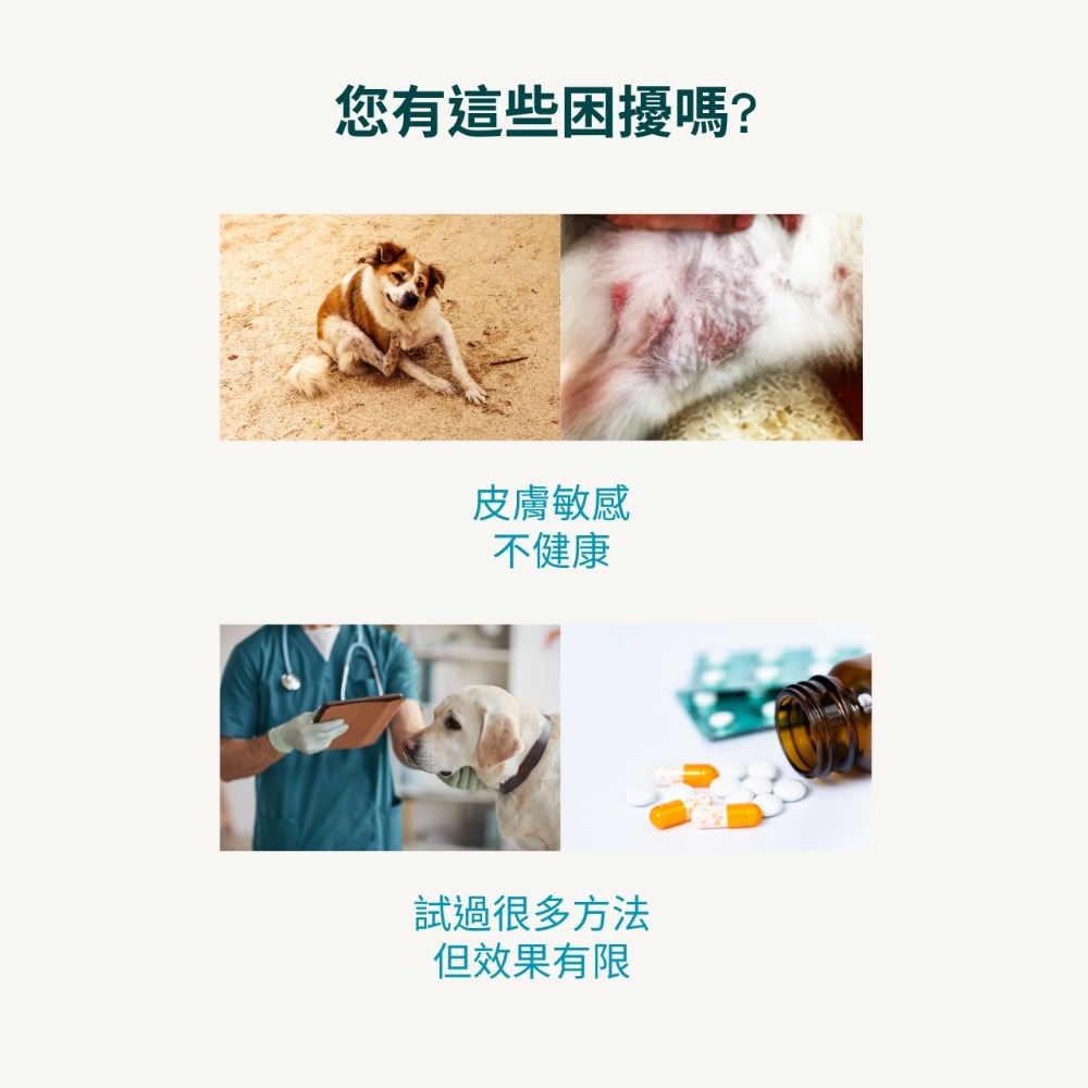 🐶新館開幕慶 肽愛你 愛膚樂 犬貓皮膚抗菌液 寵物皮膚抗菌噴霧💧天然抗菌胜肽 乾洗澡 敏感皮膚 除黴 隨身瓶-細節圖2