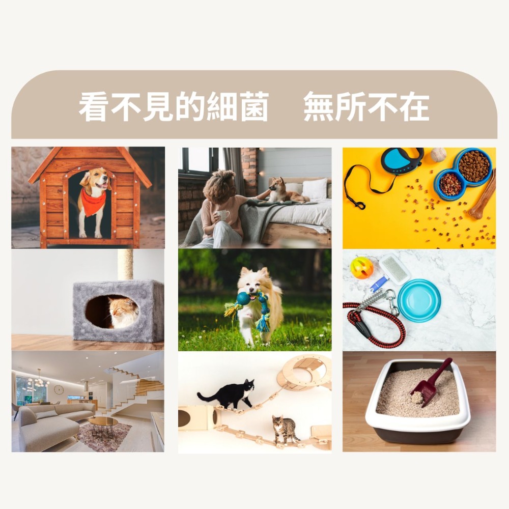 🐶新館開幕慶買二送一【肽愛你】肽立淨 抗菌液 寵物環境除臭噴霧 送抗菌液💧 天然抗菌胜肽 瞬間消臭 長效抗菌貓砂除臭-細節圖2