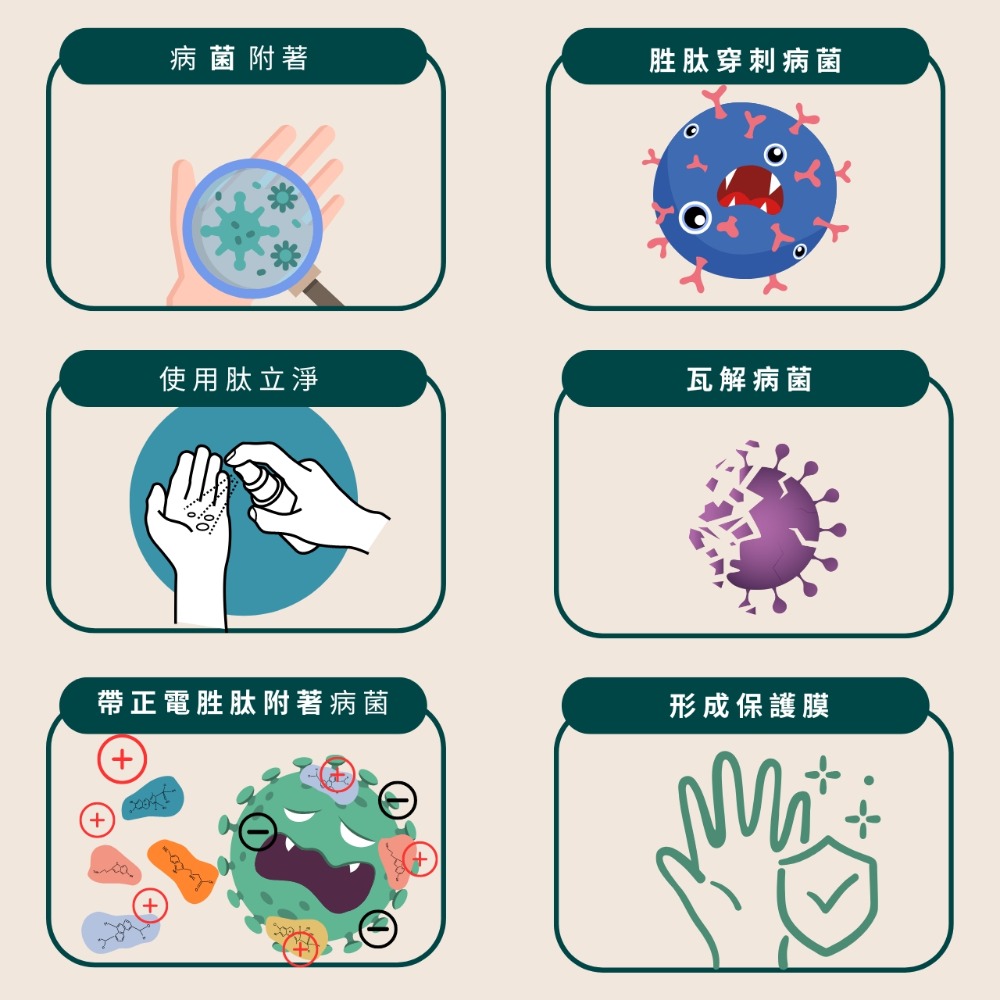 🐶新館開幕慶買二送一【肽愛你】肽立淨 抗菌液 寵物環境除臭噴霧 送抗菌液💧 天然抗菌胜肽 瞬間消臭 長效抗菌貓砂除臭-細節圖3