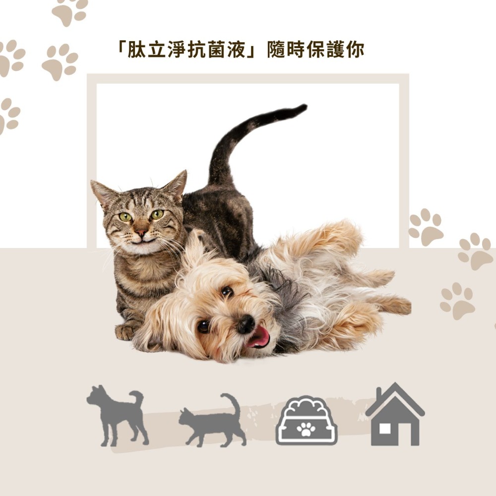 🐶新館開幕慶買二送一【肽愛你】肽立淨 抗菌液 寵物環境除臭噴霧 送抗菌液💧 天然抗菌胜肽 瞬間消臭 長效抗菌貓砂除臭-細節圖4