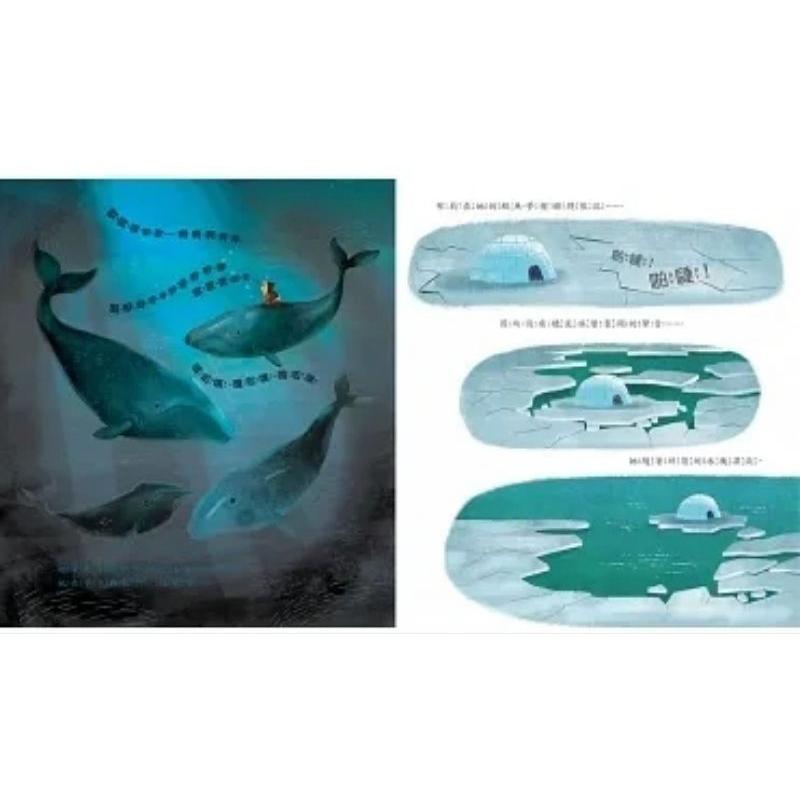 繪本 東雨 品格教育繪本：勇敢／環境保護 勇敢的布莉要回家-細節圖7