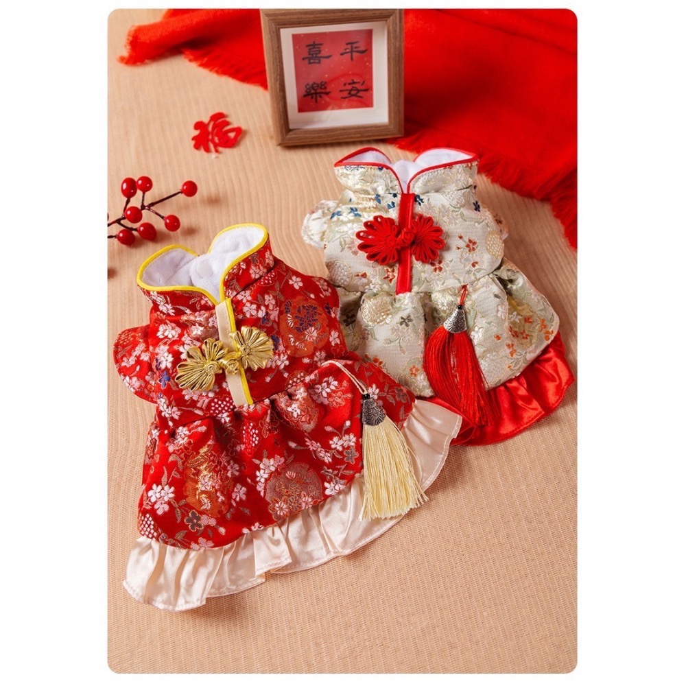 🧨新年白花流蘇唐裝加絨裙子宮廷風🧨-細節圖2