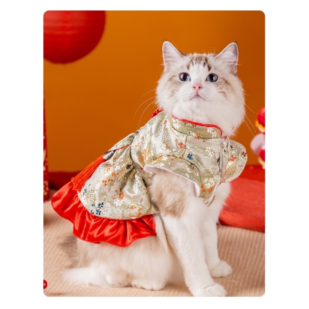 🧨新年白花流蘇唐裝加絨裙子宮廷風🧨-細節圖4