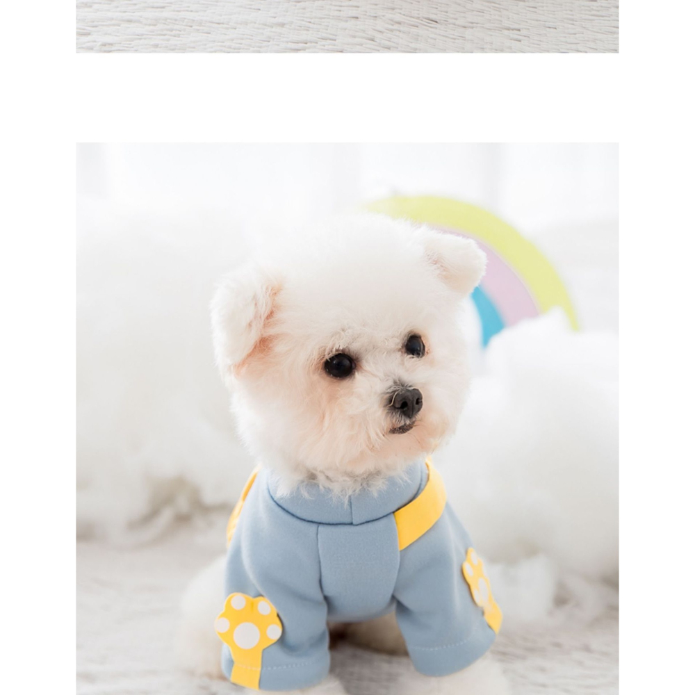 🎒貓狗秋季保暖衛衣小挎包（一）🎒-細節圖2