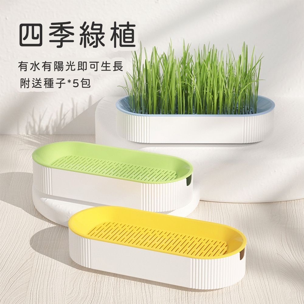 水培貓草盒(買貓草盒送小麥種子)｜全新上市 免培養土 貓草水培種植 ｜排毛-細節圖3