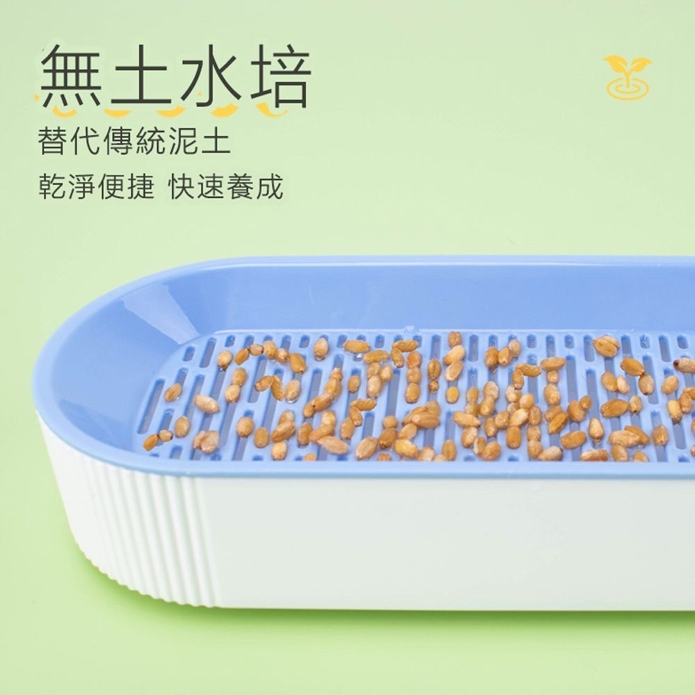 水培貓草盒(買貓草盒送小麥種子)｜全新上市 免培養土 貓草水培種植 ｜排毛-細節圖8
