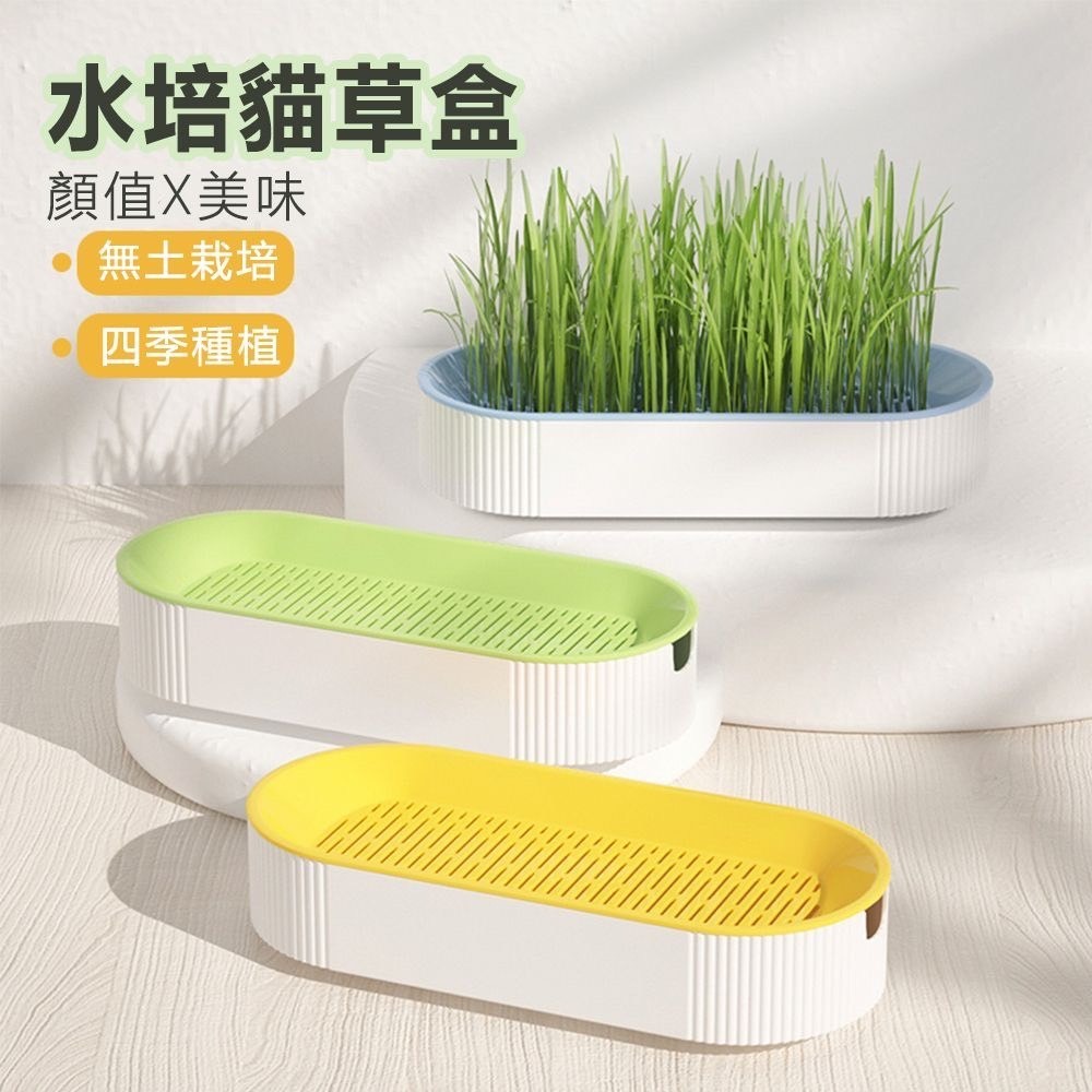 水培貓草盒(買貓草盒送小麥種子)｜全新上市 免培養土 貓草水培種植 ｜排毛-細節圖9