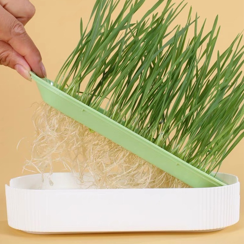 水培貓草盒(買貓草盒送小麥種子)｜全新上市 免培養土 貓草水培種植 ｜排毛-細節圖10