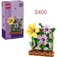 山繆顏Lego 40683 花架