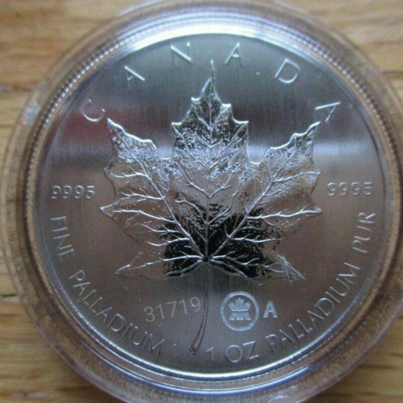 售10萬元各式鈀金幣一盎司~隨機出貨不挑樣式，鈀金幣， 鈀金， 鈀幣 ，幣~各式鈀金幣一盎司~單一價-細節圖9