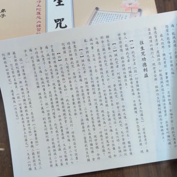 現貨 L028 往生咒《手抄本》台灣印刷🙏淨化加持😇注音版．每頁上下對抄．練習抄經本 驅除穢氣、消災解厄 離苦得樂-細節圖2
