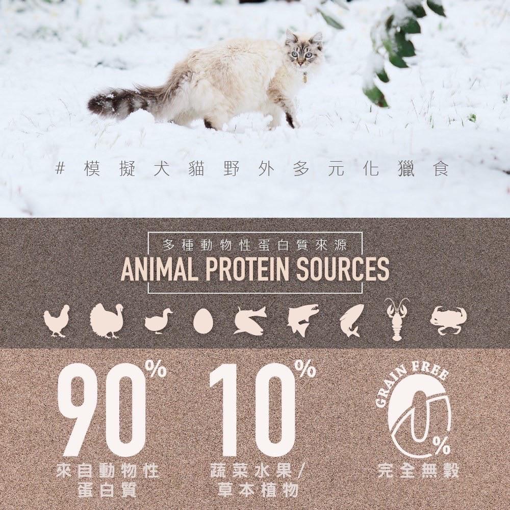 肉球雜貨舖 野性魅力 CHARM 幼貓 成貓 海陸龍蝦盛宴 貓飼料 天然飼料 挑嘴 貓乾糧-細節圖7