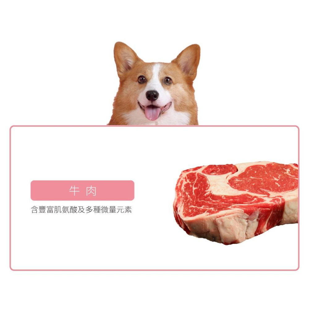 肉球雜貨舖 陪心寵糧 Super小白主食罐 【鮮牛X諾麗果】狗罐 狗主食罐 狗罐頭 無穀罐頭 無膠罐頭 狗無膠主食罐-細節圖4